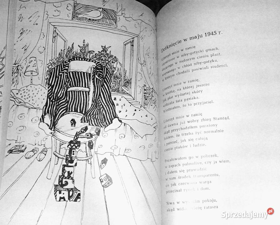 Rysopis Tadeusz Hołuj Pozostałe lubelskie Chełm