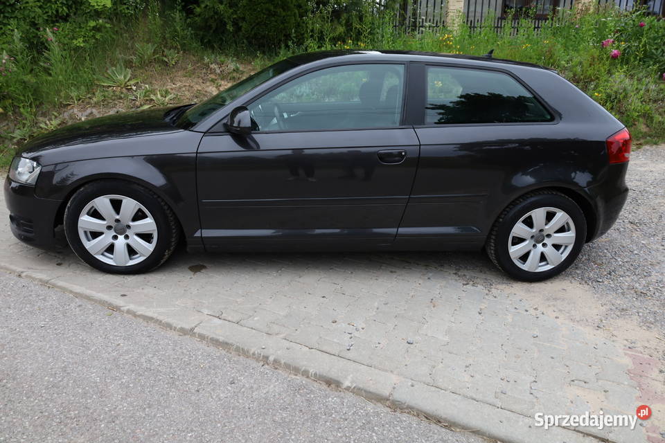 AUDI A3 8P LIFT A3 Łagów