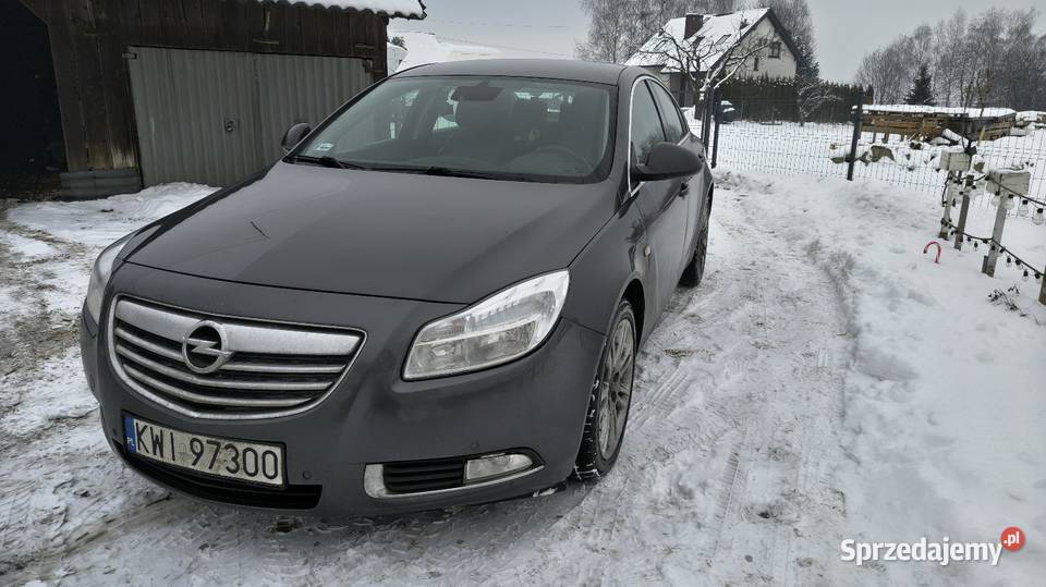 Opel Insignia 20cdti 2009 światła do jazdy dziennej małopolskie Krakuszowice sprzedam