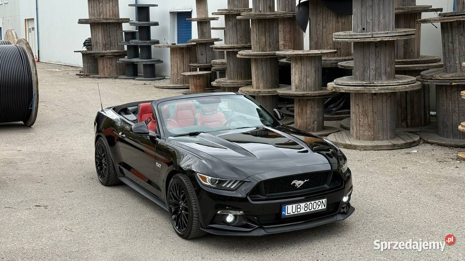 Mustang Europa Szwajcaria lubelskie Lublin