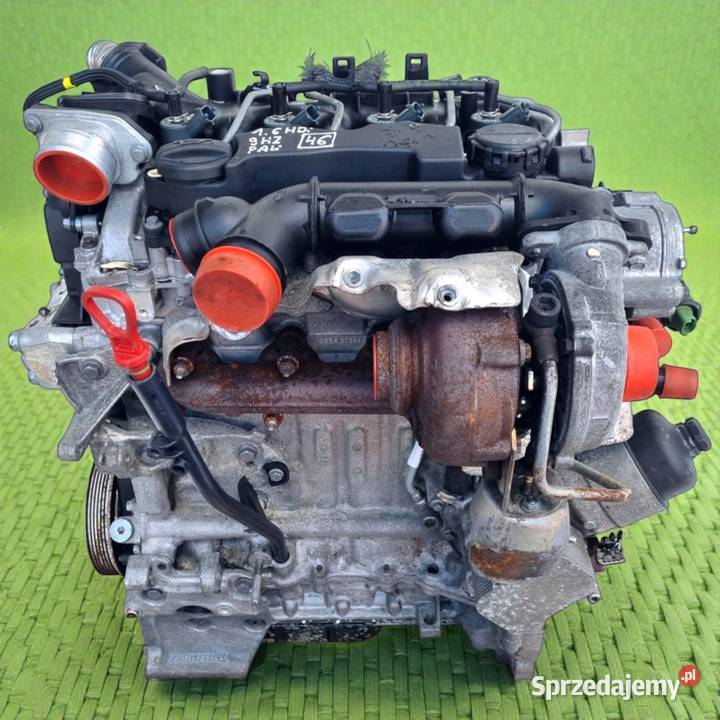 SILNIK KOMPLET Citroen Berlingo II 16 HDI 109 Rudka sprzedam