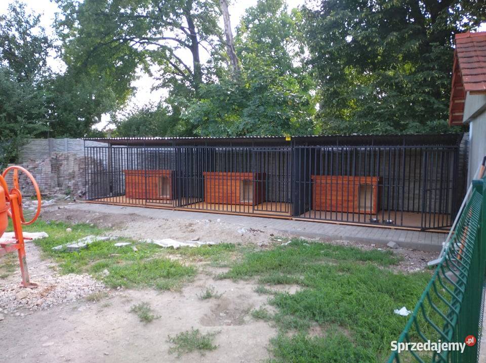 A135 Kojec Psa 4x2 Kojce dowolne rozmiary PSA Pozostałe małopolskie Gorlice sprzedam