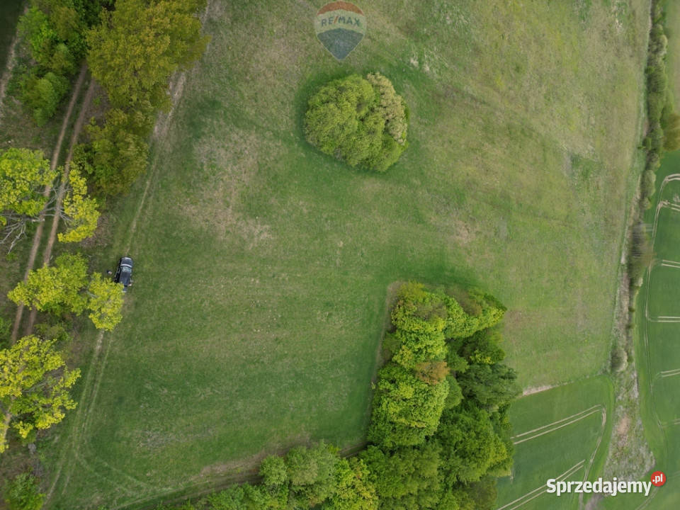 Ziemia rolna na sprzedaż Dębnik k Reszla rolna