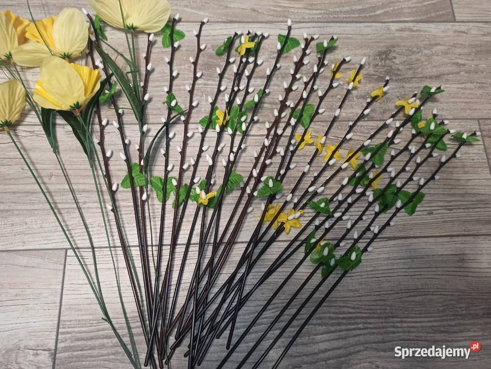 Sztuczne gałązki bazi i żonkile bazie żonkil mazowieckie Warszawa