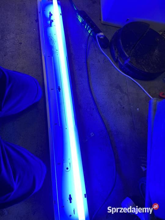 Świetlówki 36w 18 red i blue Philps TLD 18W15 mazowieckie sprzedam