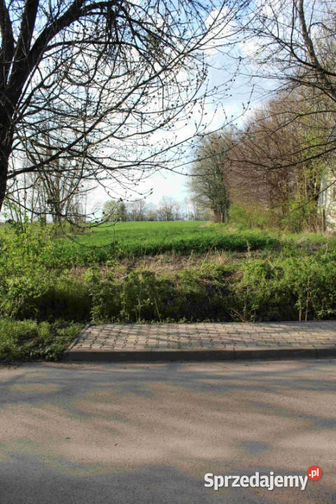 Sprzedam działkę budowlaną asfalcie Grunty i działki Hulcze sprzedam