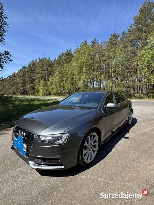Audi A5 20TDI SPORTBACK QUATRO ABS A5 Kalisz Pomorski