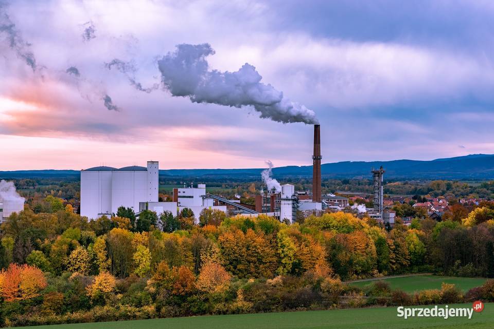 Raport Kobize Jelenia Góra Siedlce Konin dolnośląskie Wrocław
