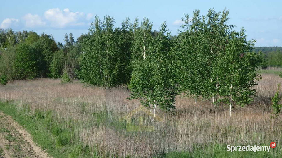Działka w Gadce gmina Kołbiel 20m