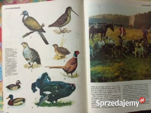 Encyklopedia dzieci Polska moja ojczyzna 1976 Książki dla dzieci Łódź