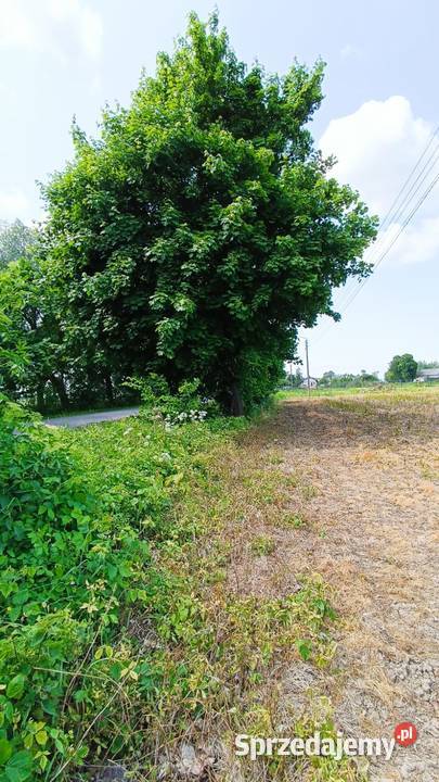 Groszkowo I Mierzeja Wiślana I działka pod