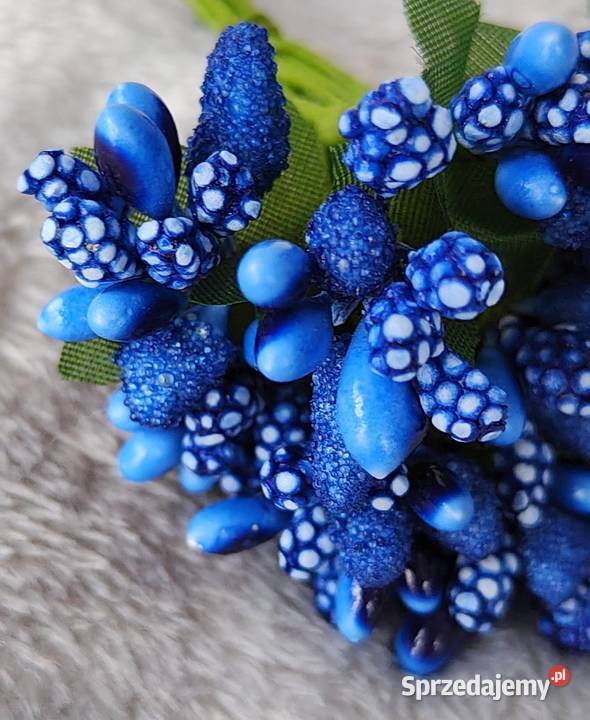 Kaszka ryżyk pęczek niebieski florystyczny pomorskie Ustka sprzedam