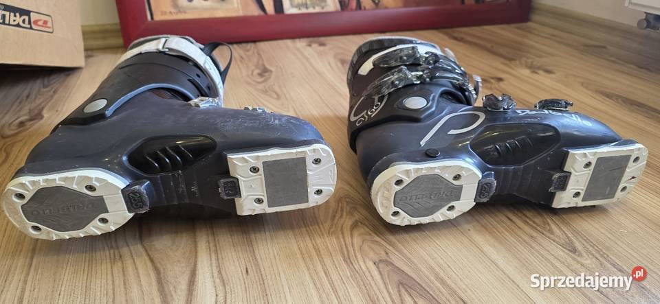 Buty narciarskie Dalbello 255 Żagań