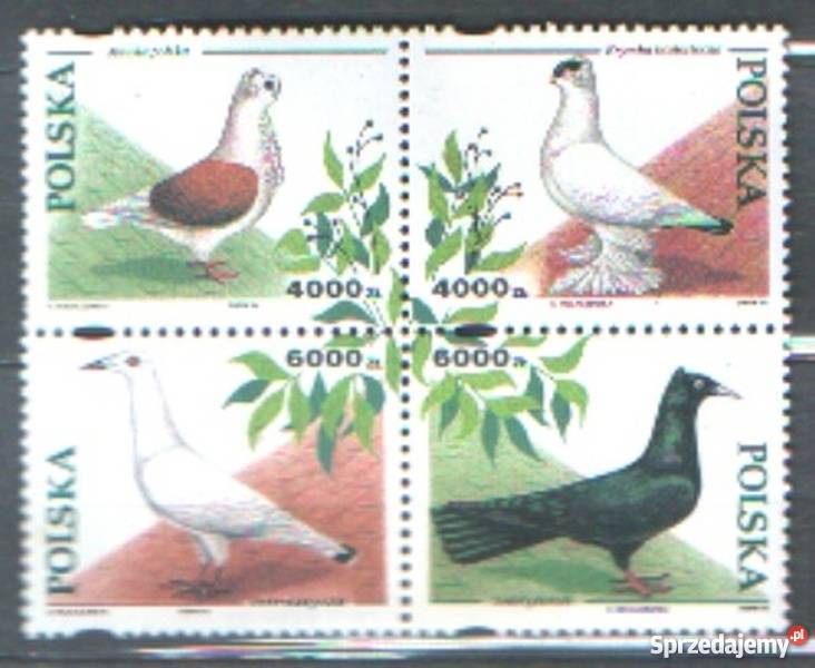 Zn Fi 33636 bl 112 1994 Gliwice sprzedam