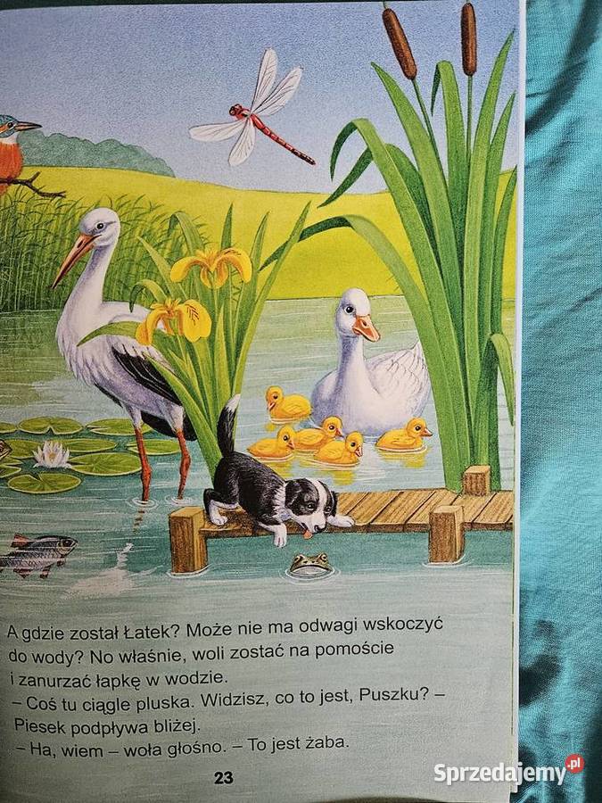 Książka Najpiekniejsz opowieści o zwierzętach
