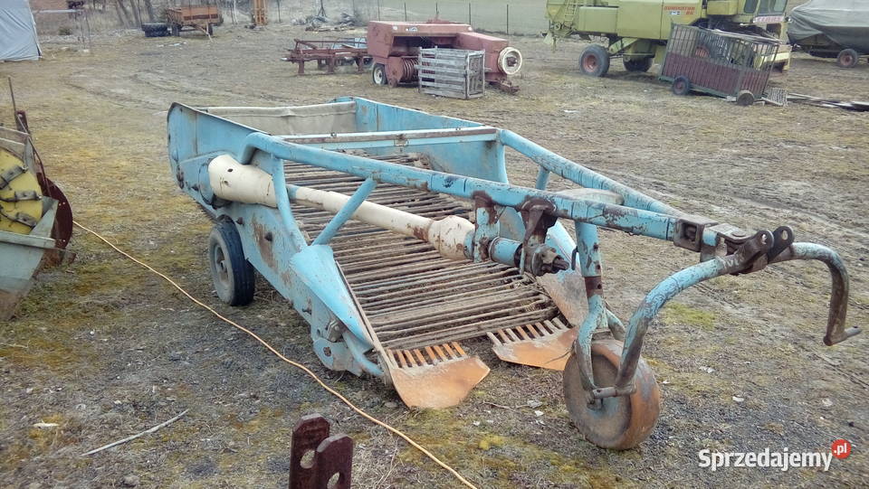 Kopaczka do ziemniaków ładne taśmy lubelskie Spławy Pierwsze