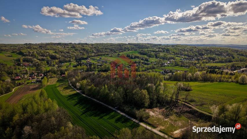 Działkę sprzedam Chmielnik Chmielnik 1362m2 30m podkarpackie sprzedam