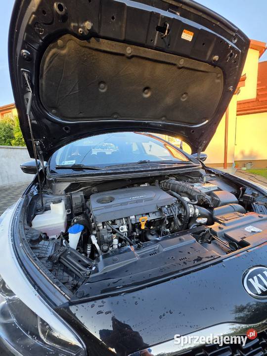 Kia Ceed Business Line 16 CRDi 136 system Start-Stop Cee'd Działdowo sprzedam