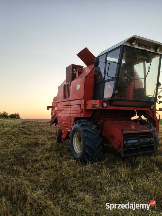 Bizon Rekord podkarpackie Czerce