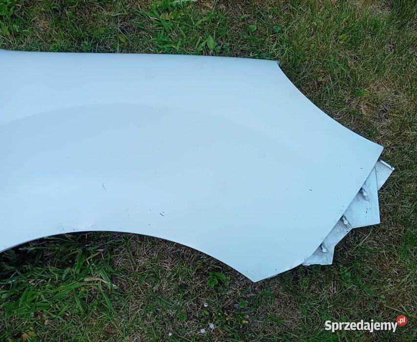 Renault Kangoo II błotnik przedni prawy Przeźmierowo