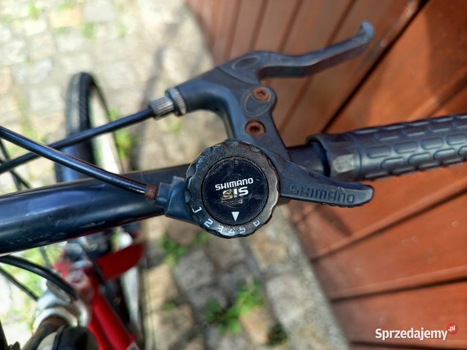 Rower Tecno Bike 24