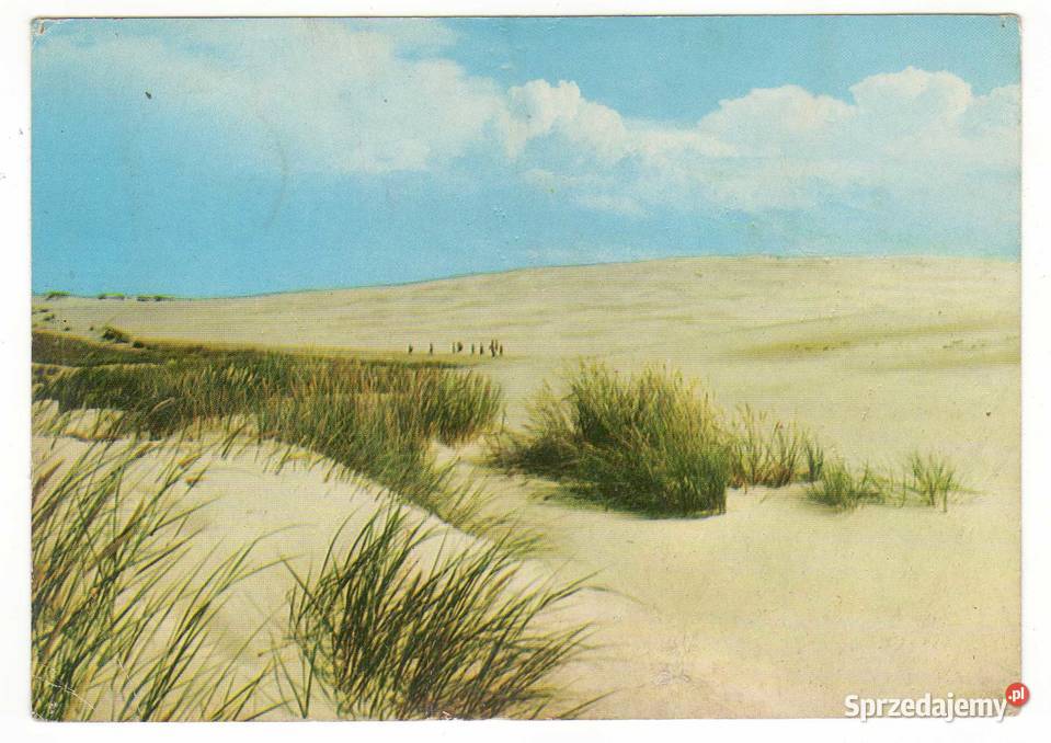 MORZE BAŁTYCKIE WYDMY NADMORSKIE Krynki