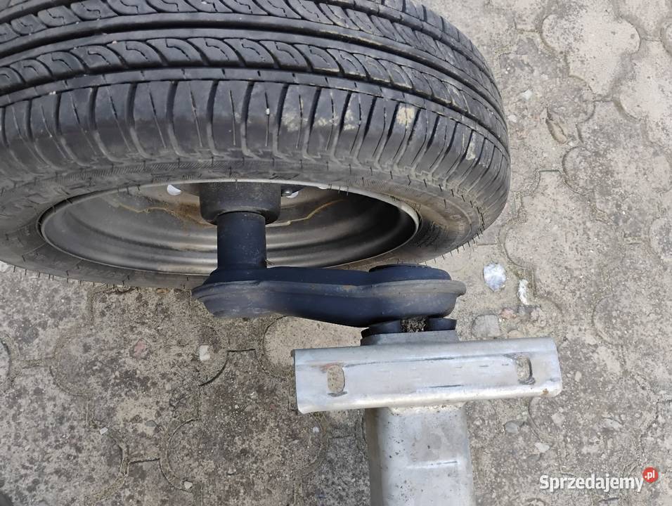 Os oska Knott nie hamowana 1000 Kalisz