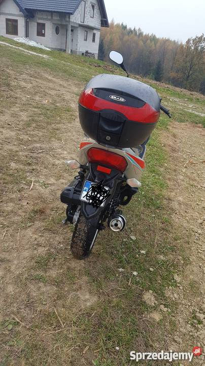 Romet Router Traffico 2 50 czterosuwowy Romet Kwiatonowice