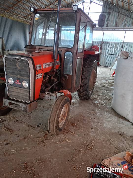 Sprzedam MF Massey Ferguson 255 Ciągniki mazowieckie Wyszków