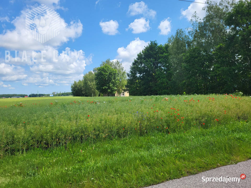 Działka do sprzedania Elżbietów 6400m2 mazowieckie