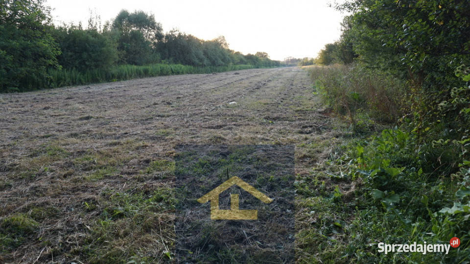 Nieruchomość w Nadbrzeżu