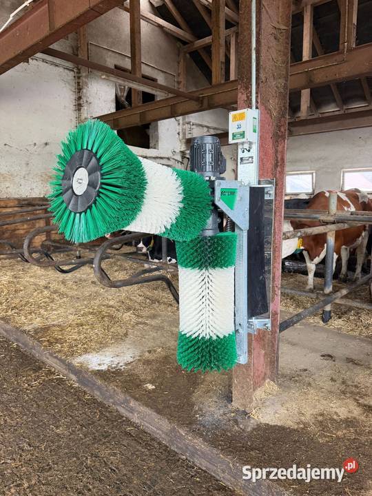 Czochradło elektryczne dwuszczotkowe bydła