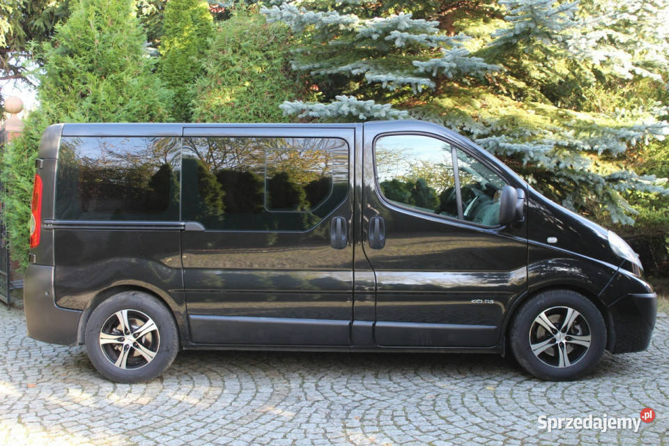 Renault Trafic DCi 115 Mały Przebieg 90 3 x sprzedam