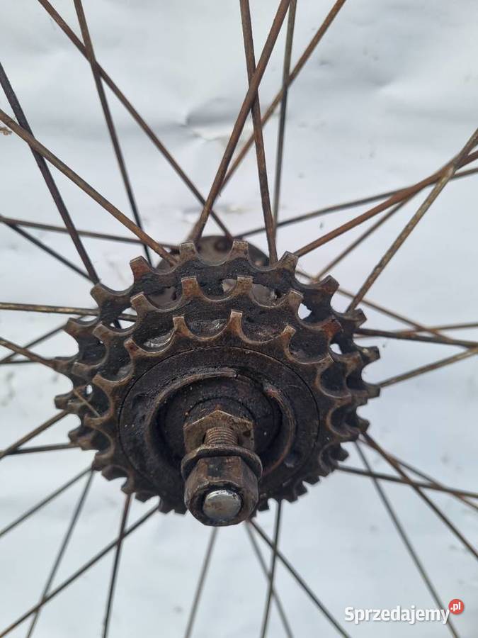Koła drewniane do roweru Brampton FS Kamiński Sosnowiec