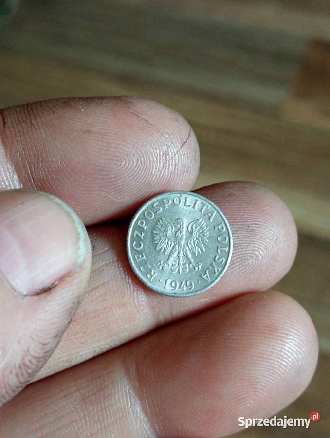 Sprzedam monete 1 grosz 1949 bzm Numizmatyka Chełm sprzedam
