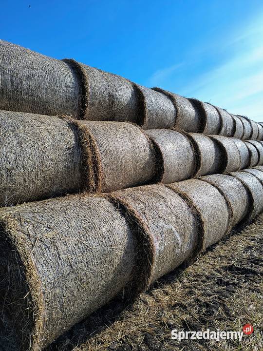 Sprzedam słomę pszenną