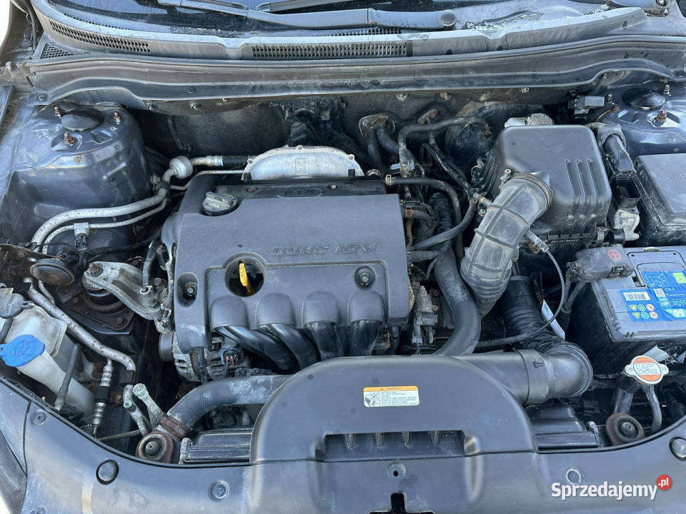 Kia Ceed Klimatronik 8 airbag alufelgi auto pomorskie