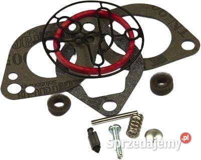 Zestaw gaźnika 696146 Kamionna