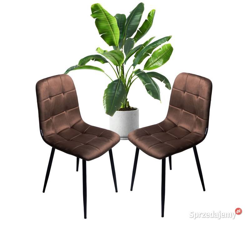 Zestaw 2 krzesło tapicerowane welurowe do salonu Poznań