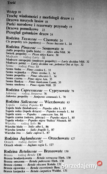 Nasze drzewa Władysław Strojny lubelskie Chełm