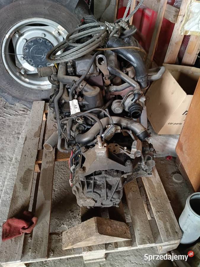 silnik 18 Diesel 75 FORD TRANSIT CONNECT TOURNEO sprzedam