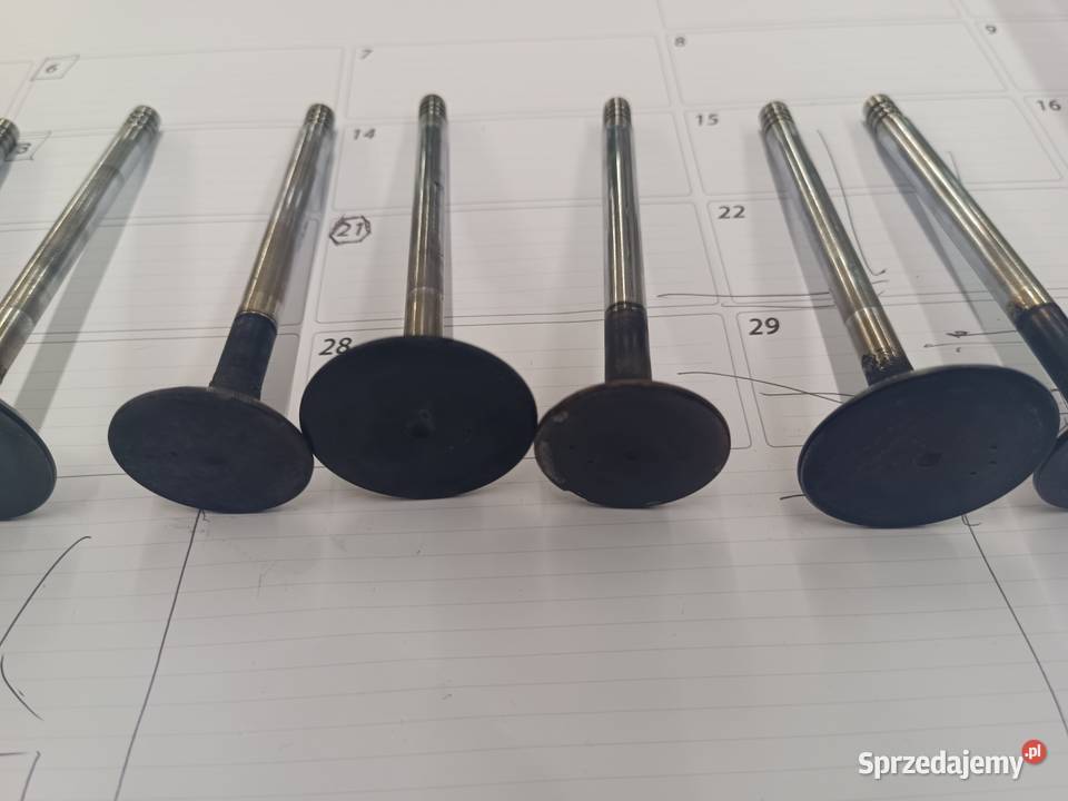 Zawory silnika peugeot j5 1989r 25D Słupsk sprzedam