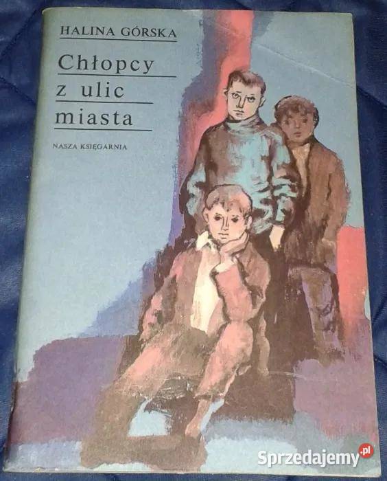 Chłopcy z ulic miasta Halina Górska Chełm sprzedam