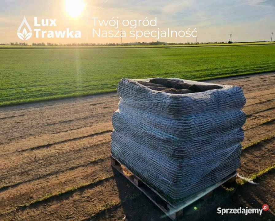 Trawa w rolce Trawa z rolki DOSTAWA MAŁOPOLSKA Nowy Targ