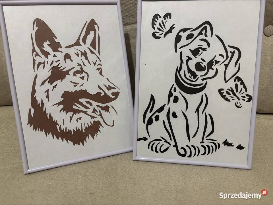 PSY I KOTY łódzkie Sieradz