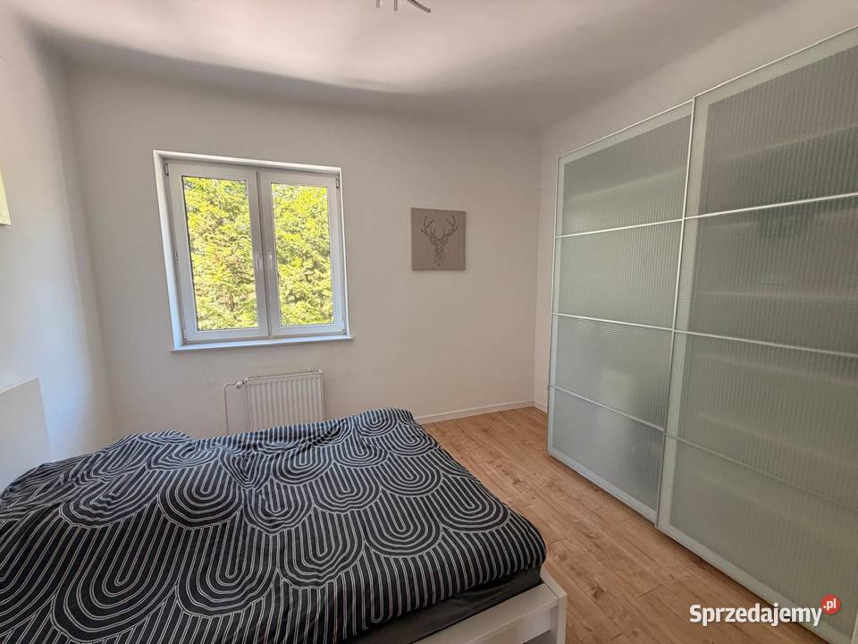 Willa modernistyczna las basen duża działka Łódź
