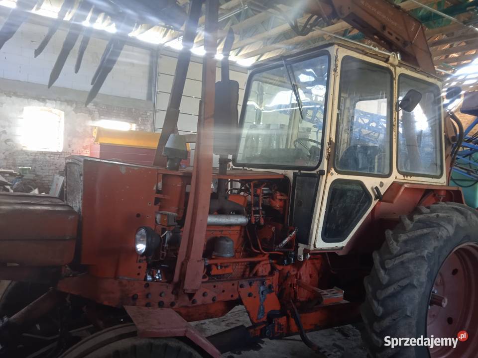 Jumz pomorskie Żarkowo