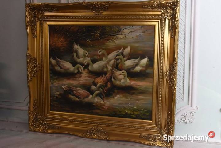 Rodzina Kaczek Kaczki Kaczka Złota Rama Obraz Kraków