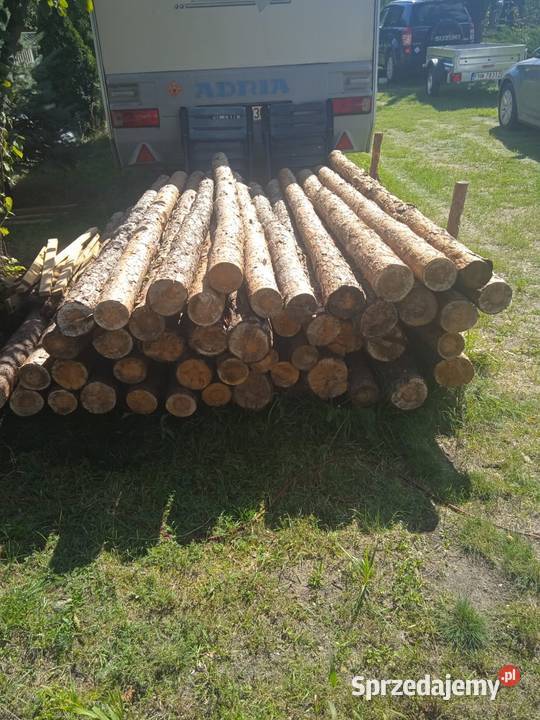 Sprzedam 13zl sztukę Pozostałe Nowa Sól