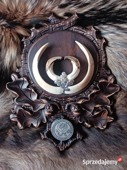 Rzeźbione podkładki pod medalowy oręż dzika wielkopolskie Odolanów